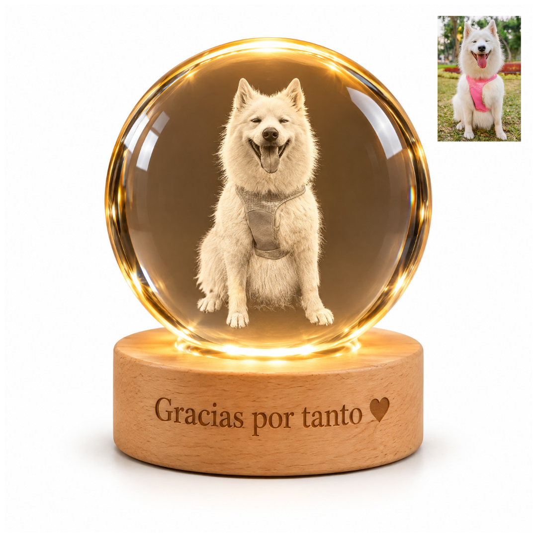 Esfera de cristal personalizada con una foto de mascota y base de madera grabada con texto "Gracias por tanto"